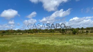 Land for sale in Coruche, Portugal — €420,000