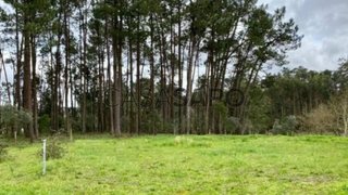 Terreno em Leiria · 35 000 €