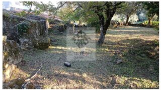 Land for sale in Ferreira do Zêzere, Portugal — €15,000