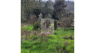 Land for sale in Vila Velha de Ródão, Portugal — €10,000