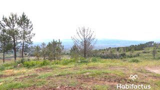 Land for sale in Mangualde, Portugal — €20,000
