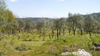 Land for sale in Vouzela, Portugal — €80,000