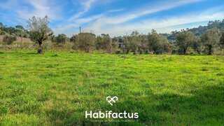 Land for sale in Nelas, Portugal — €42,000