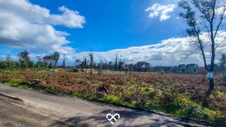 Land for sale in Nelas, Portugal — €30,000