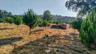 Land for sale in Tondela, Portugal — €70,000