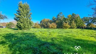 Terreno para venda em Tondela, Portugal — 75 000 €
