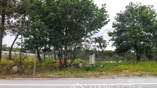 Land for sale in Viseu, Portugal — €250,000