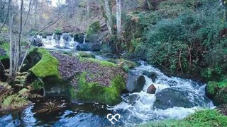 Land for sale in Carregal do Sal, Portugal — €45,000