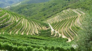 Land for sale in Armamar, Portugal — €700,000