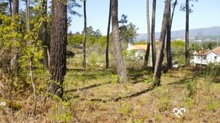 Land for sale in Vouzela, Portugal — €40,000
