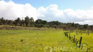 Land for sale in Nelas, Portugal — €17,000