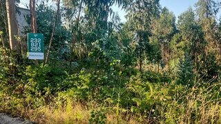 Land for sale in Mortágua, Portugal — €35,000