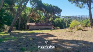 Land for sale in Carregal do Sal, Portugal — €50,000