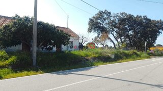 Terreno de 12 780 m² em Santarém