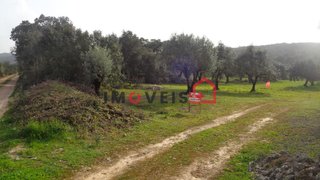 Land for sale in Ferreira do Zêzere, Portugal — €19,000