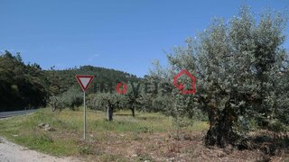 Land for sale in Ourém, Portugal — €10,000