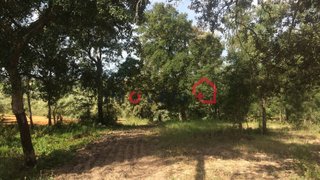 Land for sale in Tomar, Portugal — €45,000