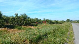 Terreno de 186 240 m² em Santarém