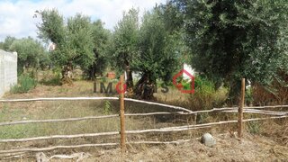Land for sale in Ourém, Portugal — €19,000