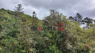 Land for sale in Ourém, Portugal — €6,000