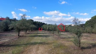 Land for sale in Torres Novas, Portugal — €70,000