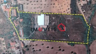 Terreno de 23 000 m² em Santarém