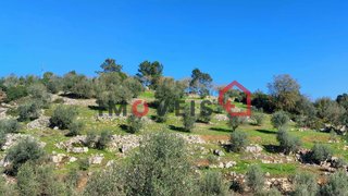 Terreno de 7500 m² em Leiria