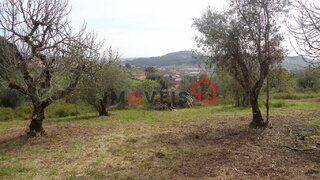 Land for sale in Ourém, Portugal — €45,000