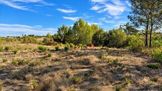 Land for sale in Azambuja, Portugal — €17,500