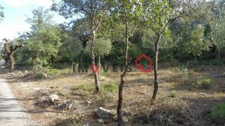 Land for sale in Ferreira do Zêzere, Portugal — €12,500
