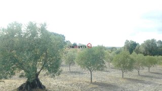 Land for sale in Santarém, Portugal — €27,000