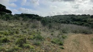 Land for sale in Sintra, Portugal — €85,000