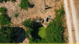 Terreno de 6250 m² em Castelo Branco