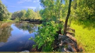 Terreno de 34 300 m² em Castelo Branco