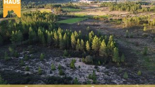Terreno de 11 880 m² em Castelo Branco