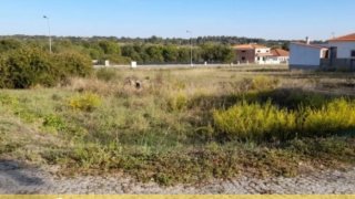 Terreno de 585 m² em Castelo Branco