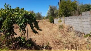 Terreno de 398 m² em Castelo Branco