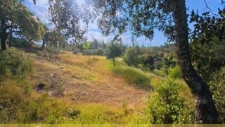Land for sale in Castelo Branco, Portugal — €32,000