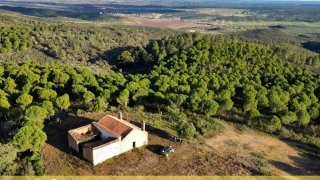 Terreno de 736 250 m² em Castelo Branco