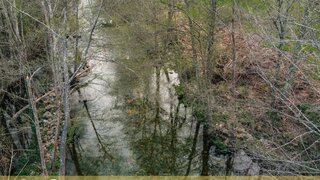 Land for sale in Castelo Branco, Portugal — €14,000