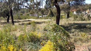 Terreno em Castelo Branco · 3320 m² · 32 500 €