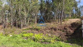 Land for sale in Pombal, Portugal — €33,000