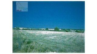 Terreno de 35 500 m² em Évora