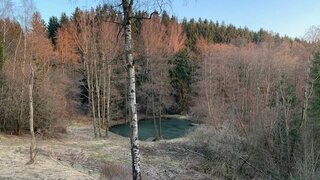 casafari-bild