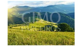 Land for sale in Oliveira do Bairro, Portugal — €60,000