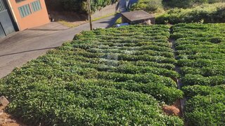 Land for sale in Calheta (Madeira), Portugal — €50,000