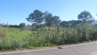 Land for sale in Sintra, Portugal — €495,000