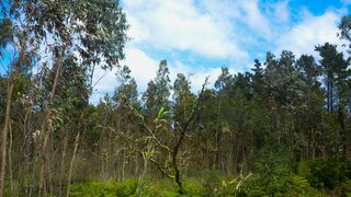 Land for sale in Lourinhã, Portugal — €31,200