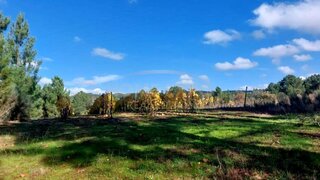Land for sale in Sernancelhe, Portugal — €20,000