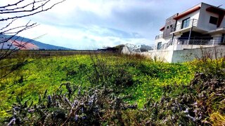 Land for sale in Torres Vedras, Portugal — €85,000